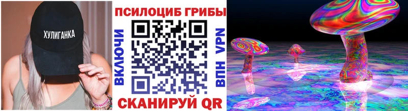Купить закладки  Егорьевск  Псилоцибиновые грибы Magic Shrooms 