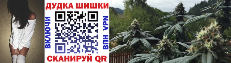 Купить  Егорьевск  Конопля Amnesia 